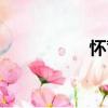 懷蓄（關(guān)于懷蓄介紹）