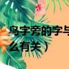 鳥(niǎo)字旁的字與什么有關(guān)（常見(jiàn)鳥(niǎo)字旁的字和什么有關(guān)）
