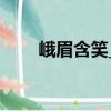 峨眉含笑_1（關(guān)于峨眉含笑_1簡介）