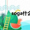 soga什么意思中文（soga的解釋）