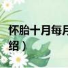 懷胎十月每月保健（關于懷胎十月每月保健介紹）