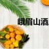 峨眉山酒店（關(guān)于峨眉山酒店簡介）