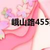 峨山路455弄（關(guān)于峨山路455弄簡介）