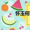 懷玉何罪（關(guān)于懷玉何罪介紹）