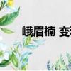 峨眉楠 變種（關(guān)于峨眉楠 變種簡(jiǎn)介）