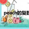 peach的復(fù)數(shù)形式是什么（peach是什么意思）
