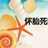 懷胎死四（關于懷胎死四介紹）