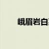 峨眉巖白菜（關(guān)于峨眉巖白菜簡(jiǎn)介）
