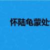 懷陸龜蒙處士（關(guān)于懷陸龜蒙處士介紹）