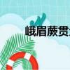 峨眉蕨貫眾（關于峨眉蕨貫眾簡介）