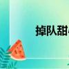 掉隊甜心（關(guān)于掉隊甜心簡介）