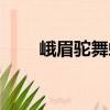 峨眉駝舞虻（關于峨眉駝舞虻簡介）