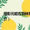 授彭元昭右羽林軍將軍制（關(guān)于授彭元昭右羽林軍將軍制簡介）