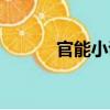 官能小說(shuō)（關(guān)于官能小說(shuō)介紹）
