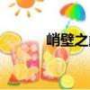 峭壁之巔（關(guān)于峭壁之巔簡介）
