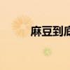 麻豆到底什么意思（麻豆的解釋）