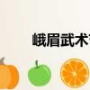 峨眉武術(shù)節(jié)（關(guān)于峨眉武術(shù)節(jié)簡介）