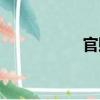 官賊（關(guān)于官賊介紹）