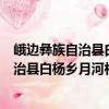 峨邊彝族自治縣白楊鄉(xiāng)月河村志愿服務(wù)隊（關(guān)于峨邊彝族自治縣白楊鄉(xiāng)月河村志愿服務(wù)隊簡介）