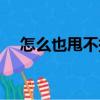 怎么也甩不掉（關(guān)于怎么也甩不掉介紹）