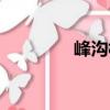 峰溝村（關(guān)于峰溝村簡(jiǎn)介）