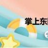 掌上東陽（關(guān)于掌上東陽簡介）