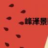 峰澤景園（關(guān)于峰澤景園簡(jiǎn)介）