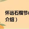 懷遠(yuǎn)石榴節(jié)(2015)（關(guān)于懷遠(yuǎn)石榴節(jié)(2015)介紹）