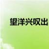 望洋興嘆出自哪里（望洋興嘆簡單介紹）