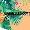 授楊再思檢校左臺(tái)大夫制（關(guān)于授楊再思檢校左臺(tái)大夫制簡介）