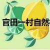 官田一村自然村（關(guān)于官田一村自然村介紹）