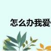 怎么辦我愛你（關(guān)于怎么辦我愛你介紹）