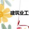建筑業(yè)工資（關(guān)于建筑業(yè)工資介紹）