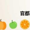 官都里（關(guān)于官都里介紹）