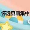 懷遠(yuǎn)縣唐集中學(xué)（關(guān)于懷遠(yuǎn)縣唐集中學(xué)介紹）