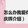 怎么辦我愛你·殷慶輝（關(guān)于怎么辦我愛你·殷慶輝介紹）