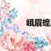 峨眉蝗屬（關(guān)于峨眉蝗屬簡介）