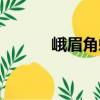 峨眉角蟾（關(guān)于峨眉角蟾簡(jiǎn)介）