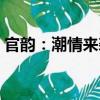 官韻：潮情來襲（關(guān)于官韻：潮情來襲介紹）