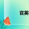 官英敏（關(guān)于官英敏介紹）