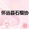 懷遠(yuǎn)縣石榴協(xié)會(huì)（關(guān)于懷遠(yuǎn)縣石榴協(xié)會(huì)介紹）