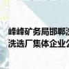 峰峰礦務(wù)局邯鄲洗選廠集體企業(yè)公司（關(guān)于峰峰礦務(wù)局邯鄲洗選廠集體企業(yè)公司簡介）