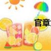 官章太（關(guān)于官章太介紹）