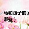 馬和騾子的區(qū)別是什么（馬和騾子的區(qū)別都有哪些）