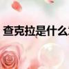 查克拉是什么意思（怎么理解查克拉的意思）
