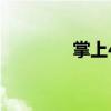 掌上4s（關(guān)于掌上4s簡介）