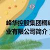 峰華控股集團(tuán)桐廬置業(yè)有限公司（關(guān)于峰華控股集團(tuán)桐廬置業(yè)有限公司簡(jiǎn)介）