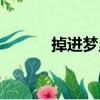 掉進(jìn)夢里（關(guān)于掉進(jìn)夢里簡介）