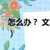 怎么辦？ 文庫(kù)本（關(guān)于怎么辦？ 文庫(kù)本介紹）