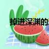 掉進(jìn)深淵的愛（關(guān)于掉進(jìn)深淵的愛簡介）